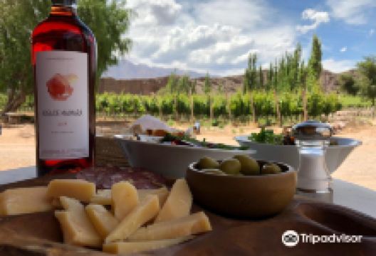 Bodega Fernando Dupont景点图片