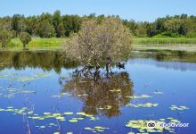 Buckleys Hole Conservation Park景点图片