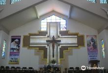 Saint Dominic's Parish Church景点图片