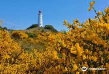 Dornbusch lighthouse景点图片