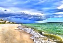 Barefoot Beach County Preserve景点图片