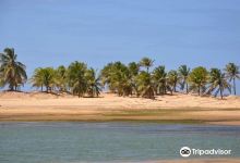 Praia do Naufrago景点图片