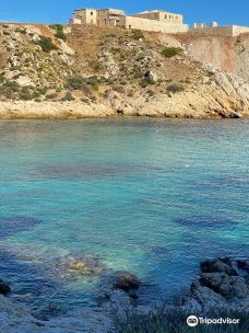 弗留利群岛-马赛