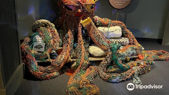 阿拉斯加海洋動物中心