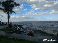 Reserva Natural Punta Lara-阿根廷