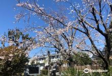 公尺山梅吉记念馆景点图片