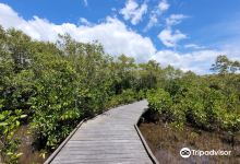 Maroochy Wetlands Sanctuary Reserve景点图片