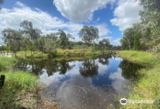 Townsville Town Common Conservation Park景点图片
