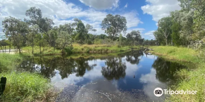 Townsville Town Common Conservation Park