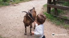 Discovery Farm Saint-André-滨海阿热莱斯