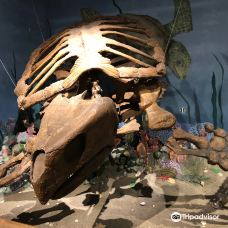 Glendive Dinosaur and Fossil Museum-格伦代夫