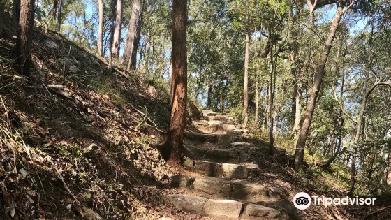 圖黑森林公園