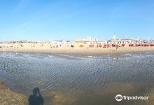 het strand van Noordwijk aan Zee景点图片