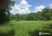 Sand Creek Conservation Area景点图片