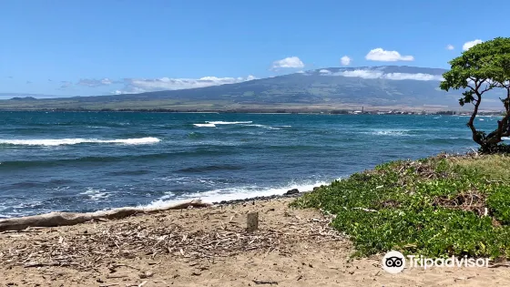 Waiehu Beach Park