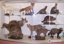 Museo Naturalistico Degli Alburni景点图片