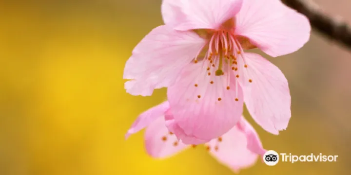 多摩森林科學園