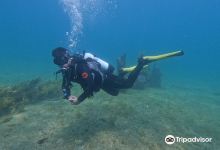 Adelaide Scuba购物图片