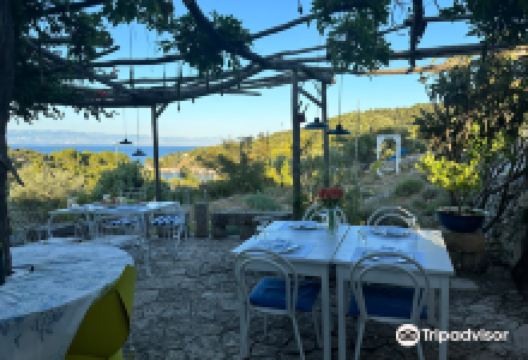 Miomirisni otcki vrt景点图片