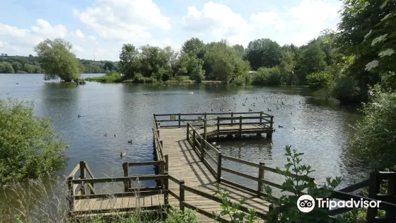 Daventry Country Park