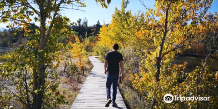 James Chabot Provincial Park