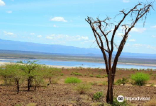 马加迪湖景点图片
