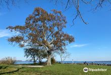 Rocky Point Park and Beach景点图片
