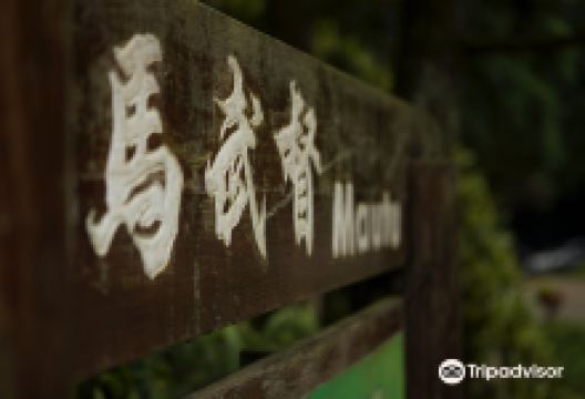 Mawudu Forest景点图片
