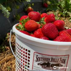 Southern Belle Farm-麦克多诺