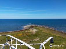 Långe Jan-默尔比隆阿