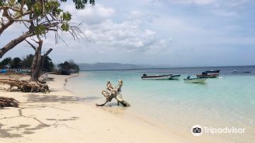 Cayo Arena