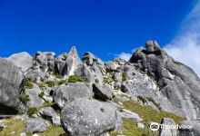 Kura Tawhiti Conservation Area景点图片