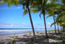 Playa Bejuco景点图片