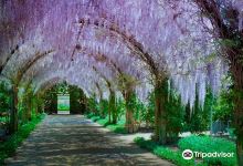 Alowyn Gardens景点图片