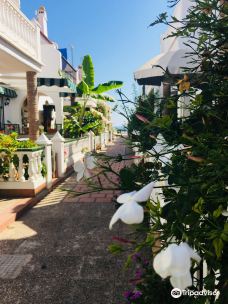 Torrox Market-托罗克斯