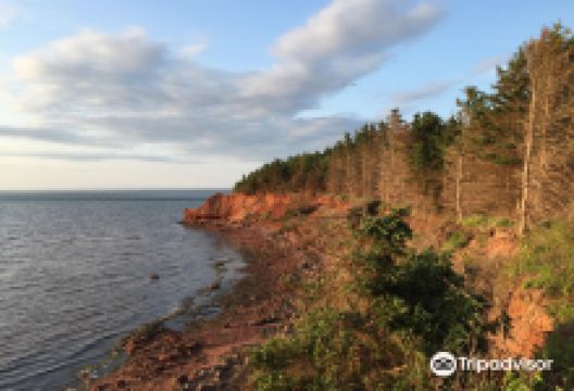 Cabot Beach Provincial Park景点图片