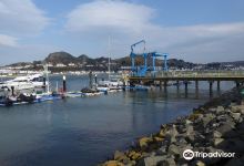 Conwy Quays Marina景点图片