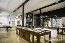 Lapworth Museum of Geology-伯明翰