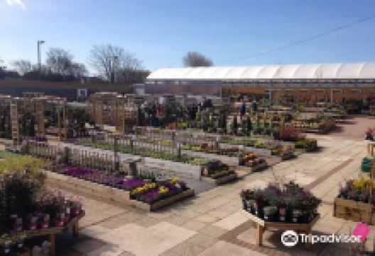 The Plant Place购物图片