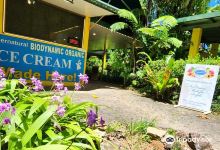 Floravilla Ice Cream Factory & Art Gallery景点图片