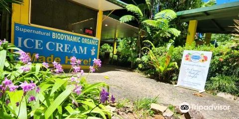Floravilla Ice Cream Factory & Art Gallery