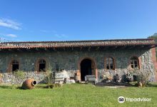 Chubini Wine Cellar景点图片
