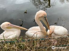Vogelpark Niendorf-蒂门多尔费尔斯特兰德