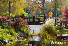 Wellfield Botanic Gardens景点图片