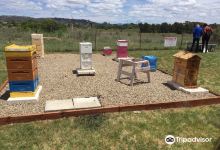 Canberra City Farm景点图片