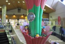 Plaza Saku购物图片