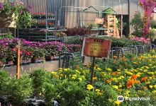 Butterfly Pavilion at Flamingo Road Nursery景点图片