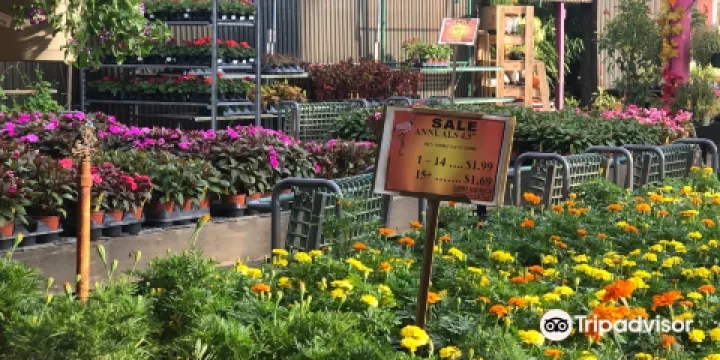 Butterfly Pavilion at Flamingo Road Nursery