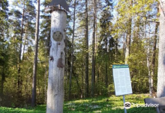 Otepaa Energy Column景点图片