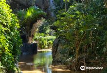 Cueva de los Portales景点图片